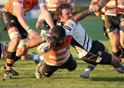 Rugby, Pro12: Zebre al tappeto, derby a Treviso